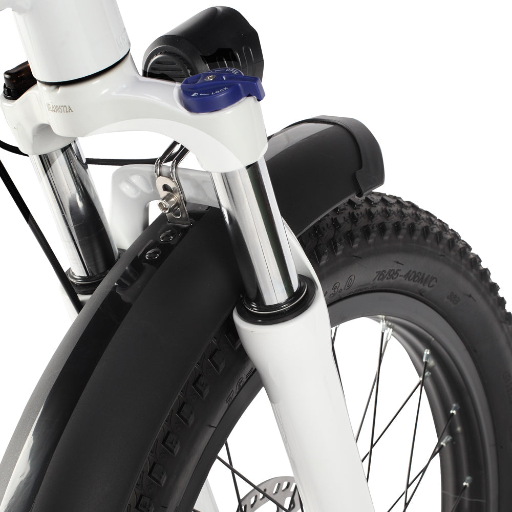 PHILODO Traveller elektrische fiets voor het hele gezin en met bagage.