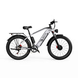 DUOTTS F26 PRO 750 W*2 elektrische fiets