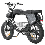 Hidoes B9 elektrische fiets, 750W motor, 48V 18.2Ah+15.6Ah dubbele accu
