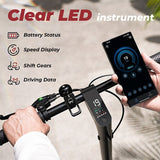 iScooter W5 elektrische scooter, 350W motor, 36V 7,8Ah