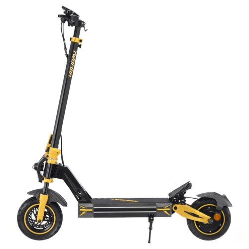 TWOFISH V2 MAX elektrische scooter, 800W motor, 48V 20Ah