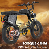 Hidoes B9 elektrische fiets, 750W motor, 48V 18.2Ah+15.6Ah dubbele accu