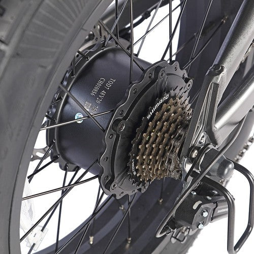 Fafrees F20 Ultra elektrische fiets (versie met verbeterde remmen), 750W motor, 48V 25Ah
