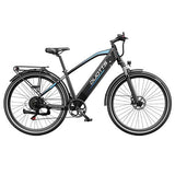 DUOTTS C29 Max elektrische fiets, 250W motor, 48V 18Ah