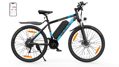 VARUN M27-1 Elektrische Fiets 250W