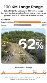 ENGWE Pro 3.0 Boost elektrische fiets, 250W motor, 48V 15Ah