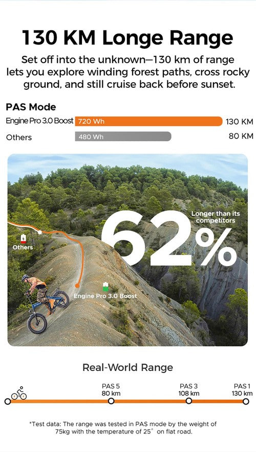 ENGWE Pro 3.0 Boost elektrische fiets, 250W motor, 48V 15Ah
