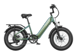 FAFREES F20 Rover elektrische fiets 250W
