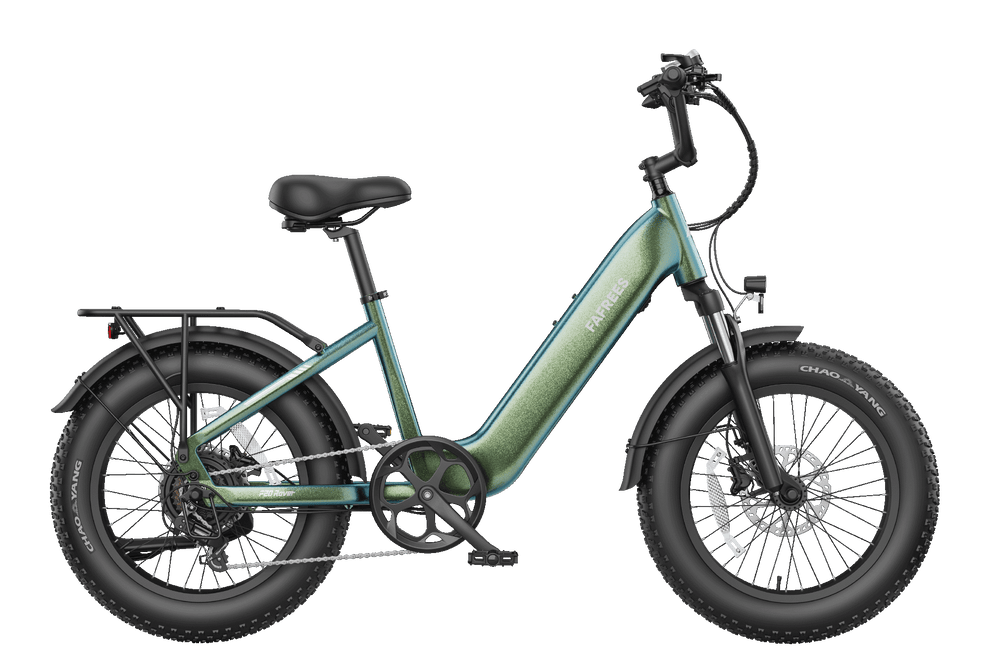 FAFREES F20 Rover elektrische fiets 250W