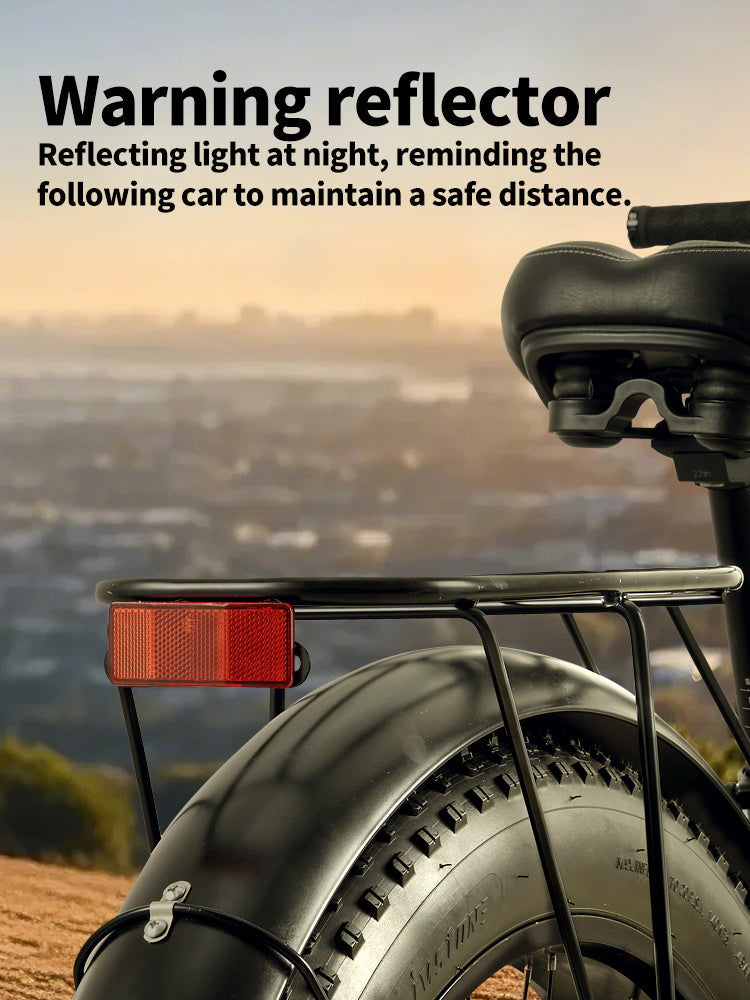 Burchda RX02 elektrische fiets 1000W