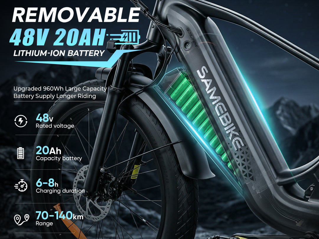 SAMEBIKE STORM 1000W Elektrische Mountainbike met Dikke Banden