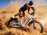 SAMEBIKE CREST Fat Tire elektrische mountainbike 1000W