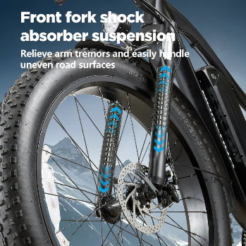 Burchda RX02 elektrische fiets 1000W