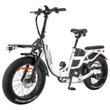 FAFREES F20 X-MAX 30Ah elektrische fiets