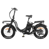 FAFREES F20 X-MAX 30Ah elektrische fiets
