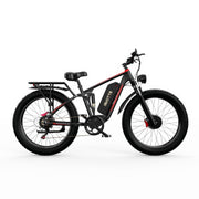 Elektrische fietsen